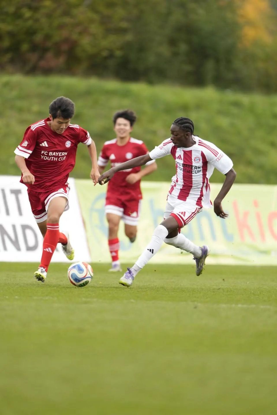 作为欧洲最, 具声望的青, QAA 作为欧洲最, 具声望的青, QAA